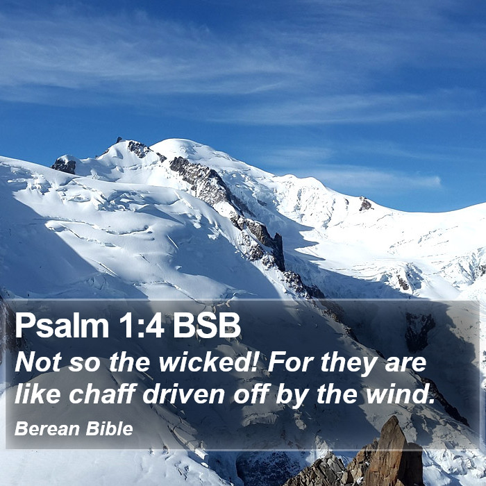 Psalms 1:4 BSB Bible Study