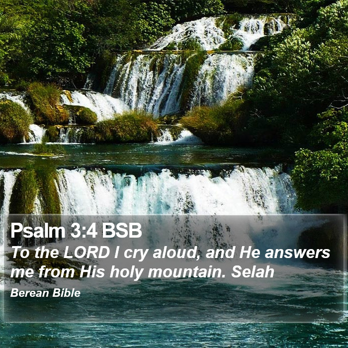 Psalms 3:4 BSB Bible Study