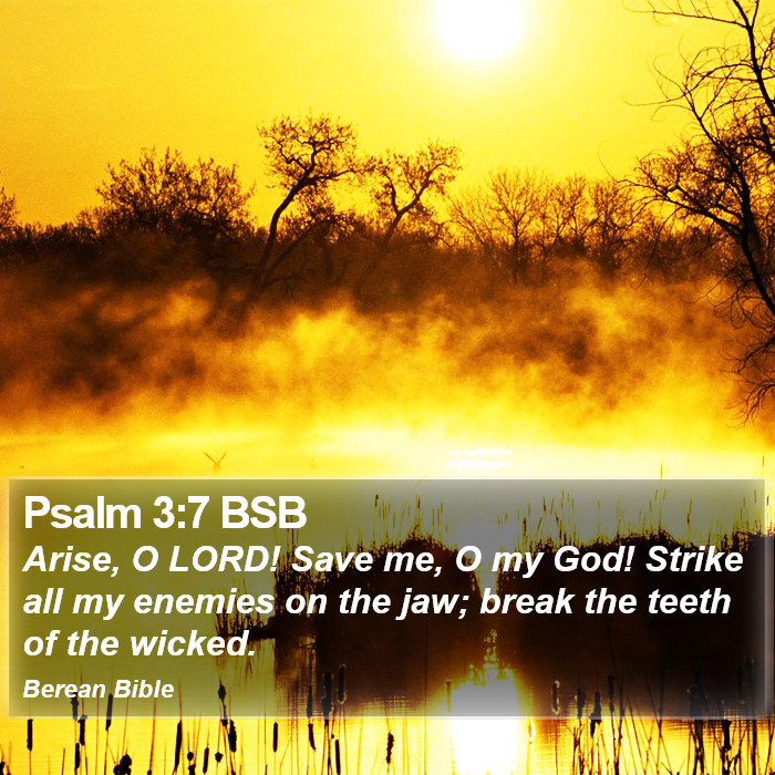 Psalms 3:7 BSB Bible Study