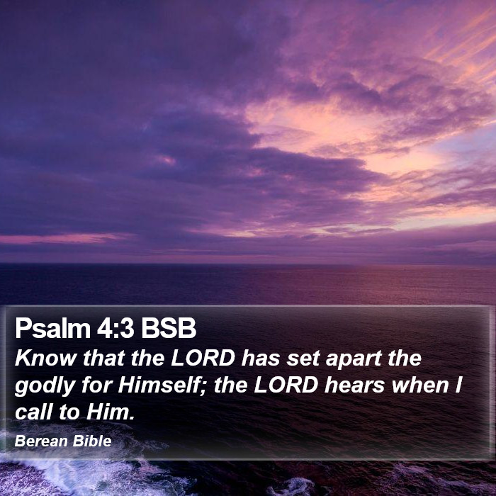 Psalms 4:3 BSB Bible Study