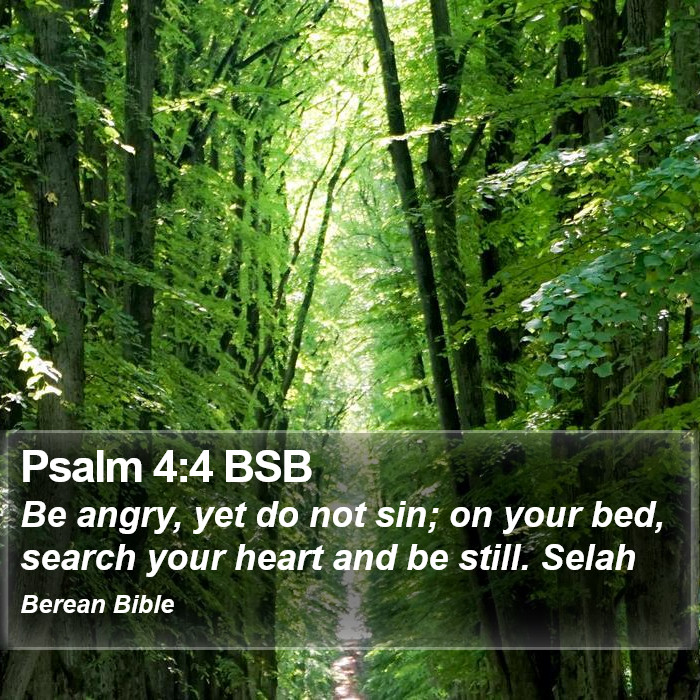 Psalms 4:4 BSB Bible Study