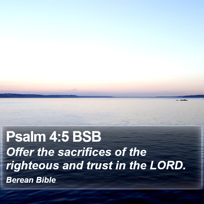 Psalms 4:5 BSB Bible Study