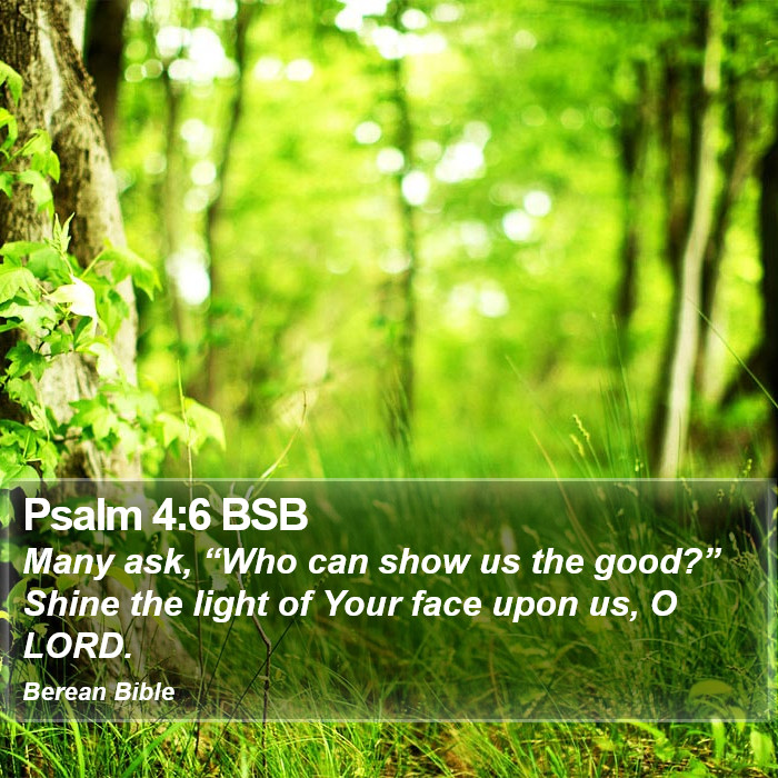 Psalms 4:6 BSB Bible Study