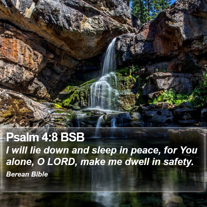 Psalms 4:8 BSB Bible Study