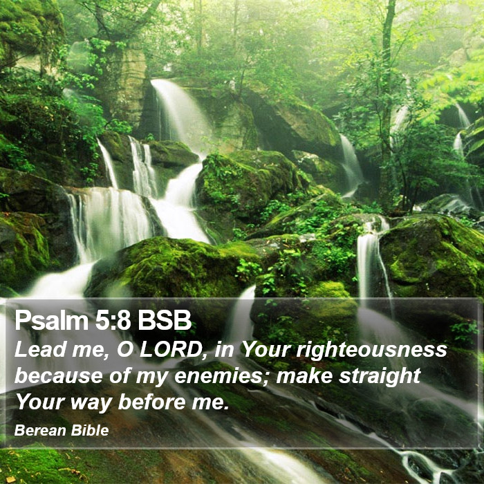 Psalms 5:8 BSB Bible Study