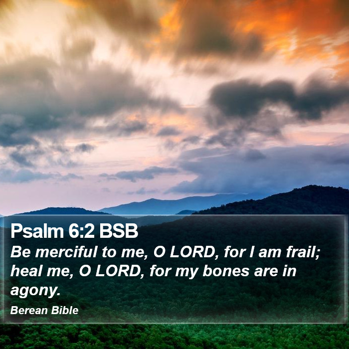 Psalms 6:2 BSB Bible Study