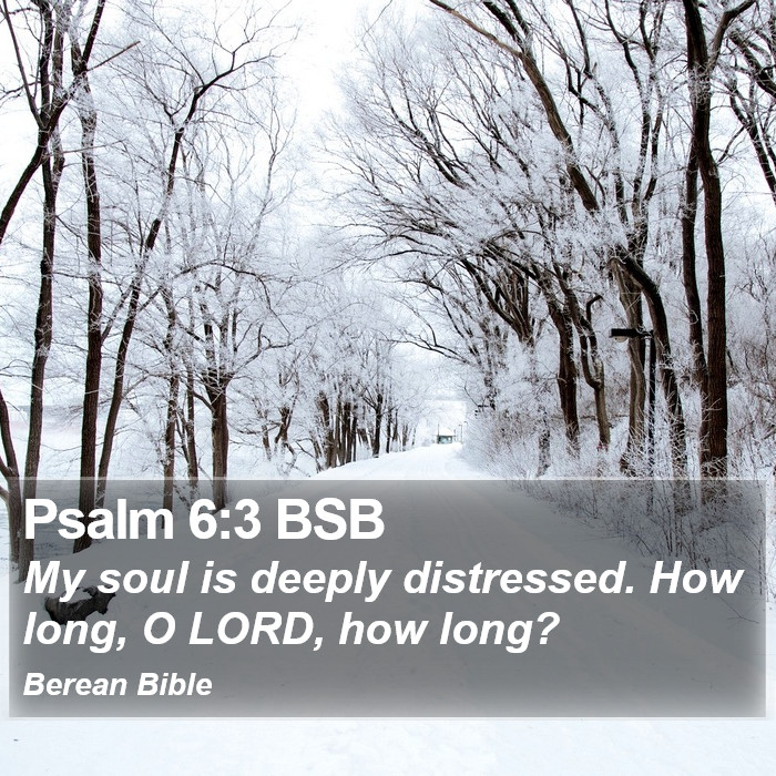 Psalms 6:3 BSB Bible Study