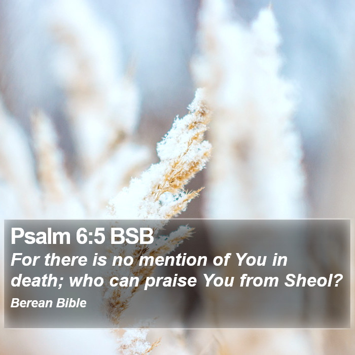 Psalms 6:5 BSB Bible Study