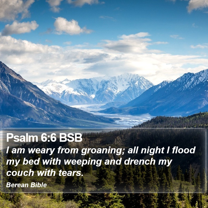 Psalms 6:6 BSB Bible Study