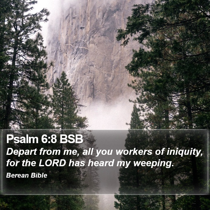 Psalms 6:8 BSB Bible Study