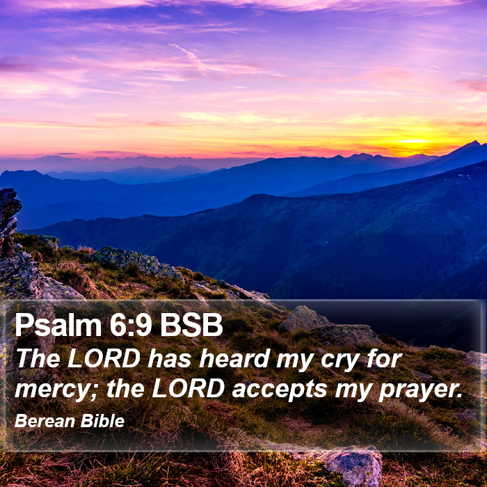 Psalms 6:9 BSB Bible Study