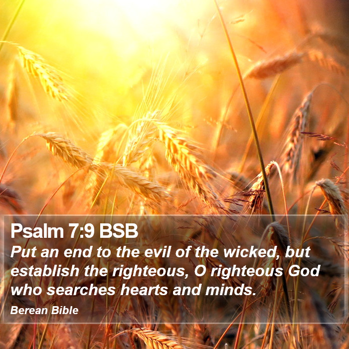 Psalms 7:9 BSB Bible Study