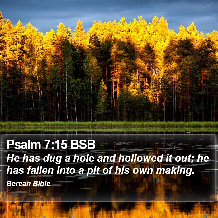 Psalms 7:15 BSB Bible Study