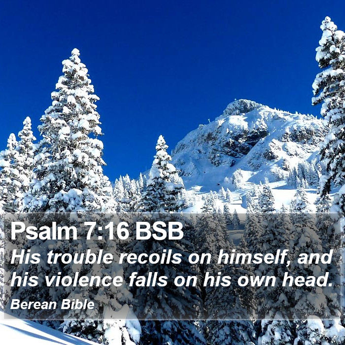 Psalms 7:16 BSB Bible Study