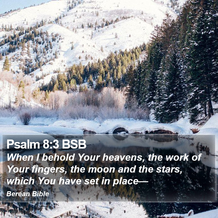 Psalms 8:3 BSB Bible Study