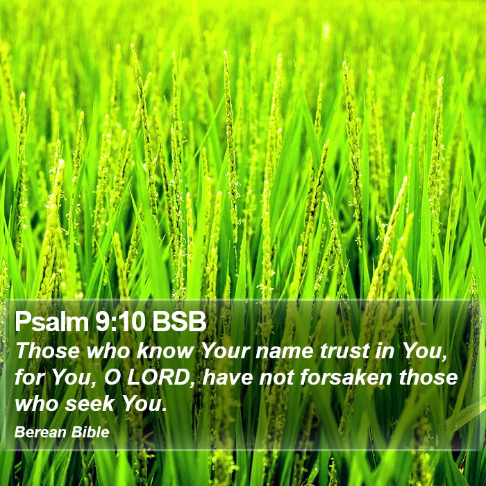 Psalms 9:10 BSB Bible Study