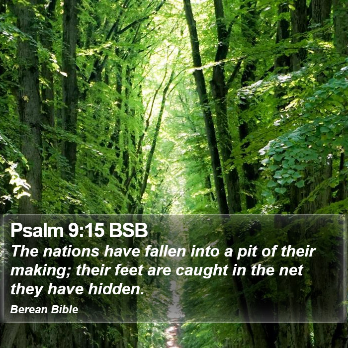 Psalms 9:15 BSB Bible Study