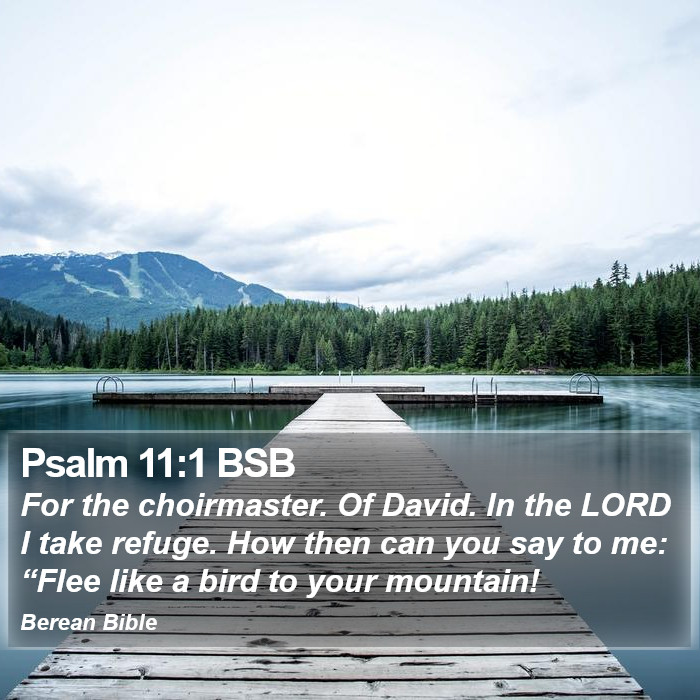 Psalms 11:1 BSB Bible Study