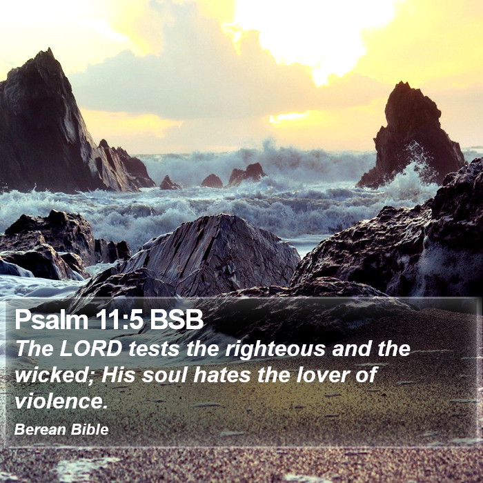 Psalms 11:5 BSB Bible Study