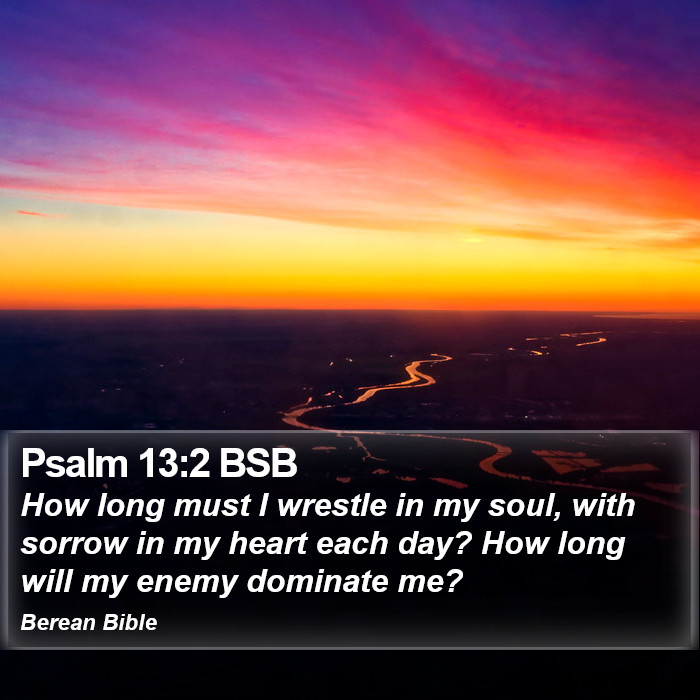 Psalms 13:2 BSB Bible Study