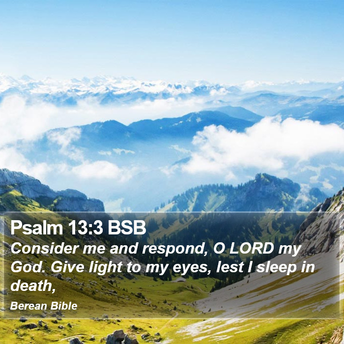 Psalms 13:3 BSB Bible Study