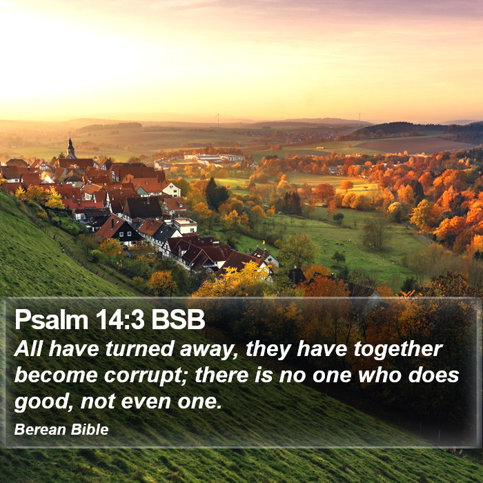 Psalms 14:3 BSB Bible Study