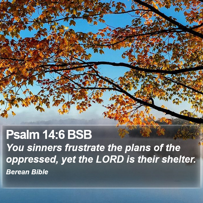 Psalms 14:6 BSB Bible Study