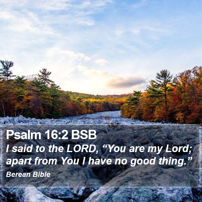 Psalms 16:2 BSB Bible Study