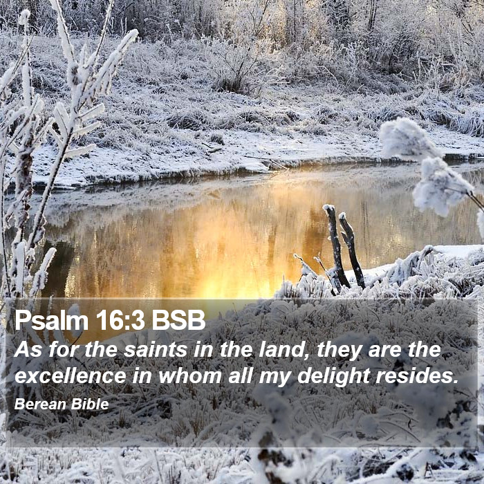 Psalms 16:3 BSB Bible Study