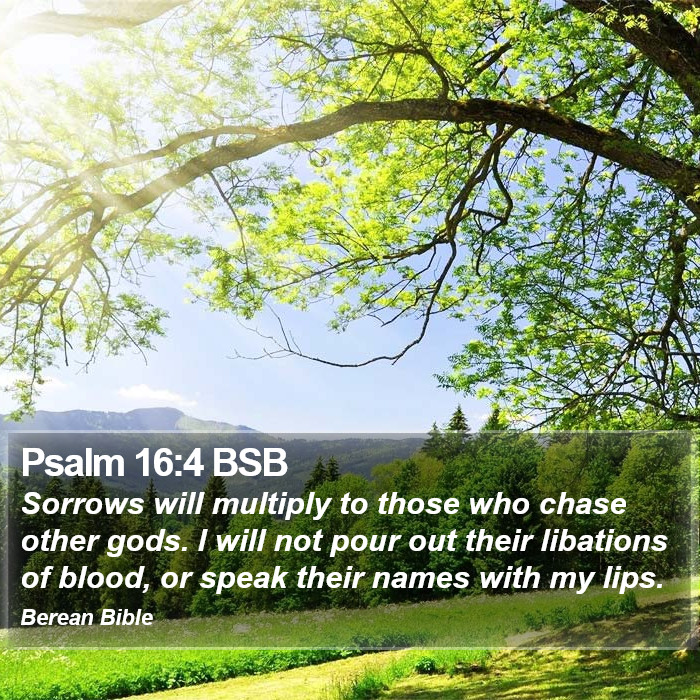 Psalms 16:4 BSB Bible Study