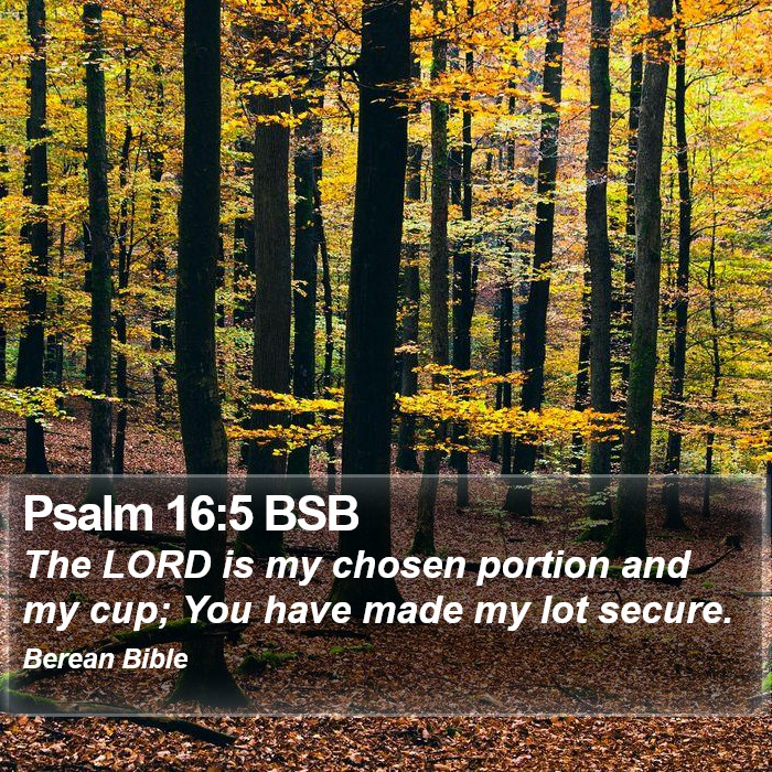 Psalms 16:5 BSB Bible Study