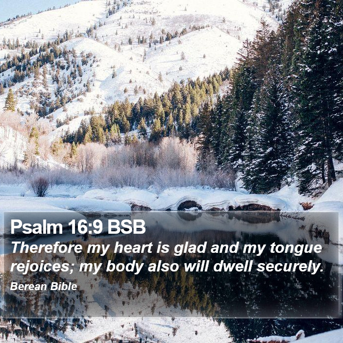 Psalms 16:9 BSB Bible Study