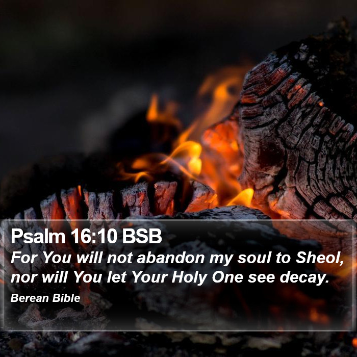 Psalms 16:10 BSB Bible Study