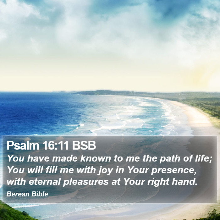 Psalms 16:11 BSB Bible Study