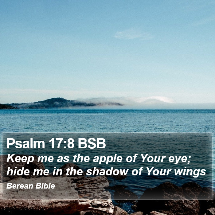 Psalms 17:8 BSB Bible Study