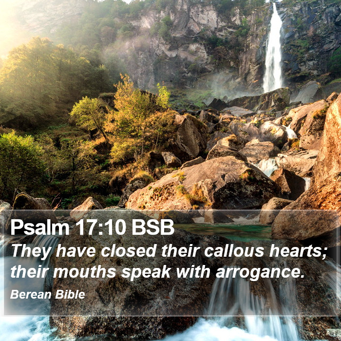 Psalms 17:10 BSB Bible Study