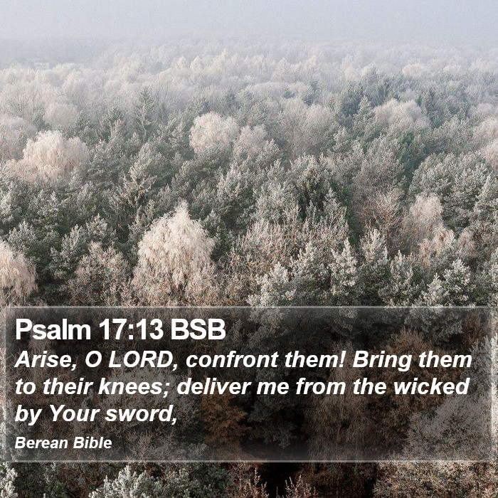 Psalms 17:13 BSB Bible Study