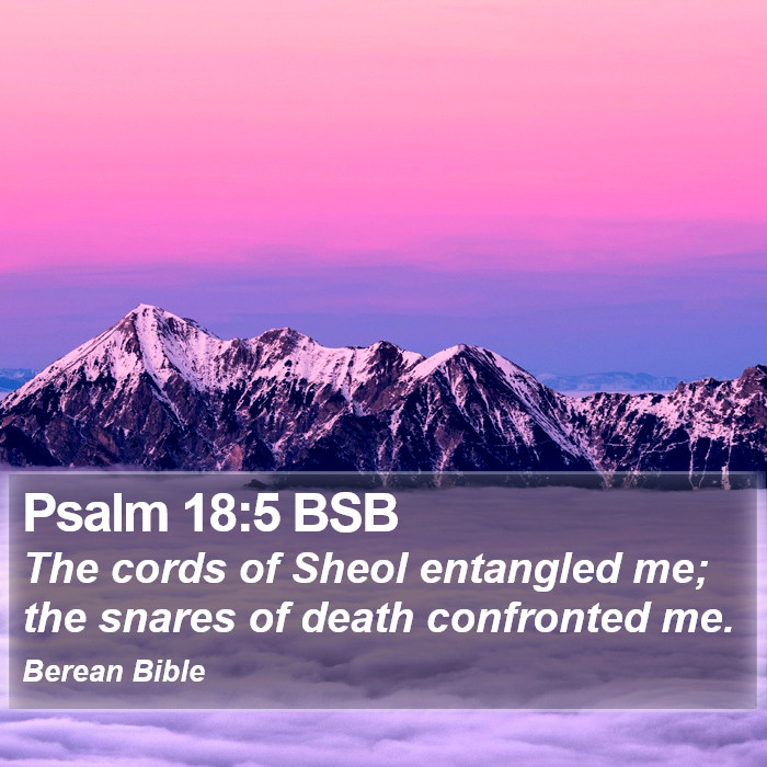 Psalms 18:5 BSB Bible Study