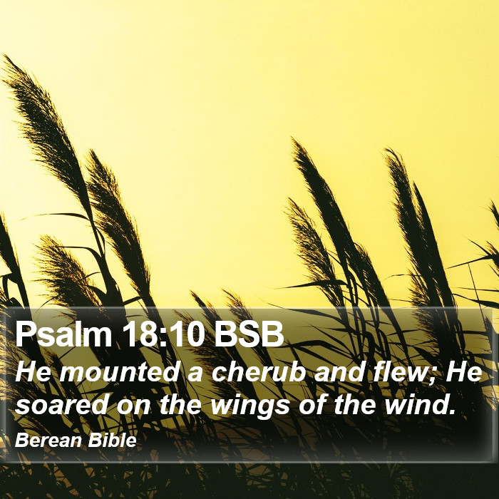 Psalms 18:10 BSB Bible Study