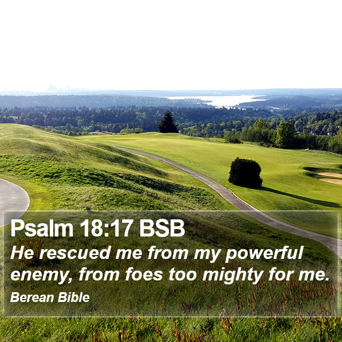 Psalms 18:17 BSB Bible Study