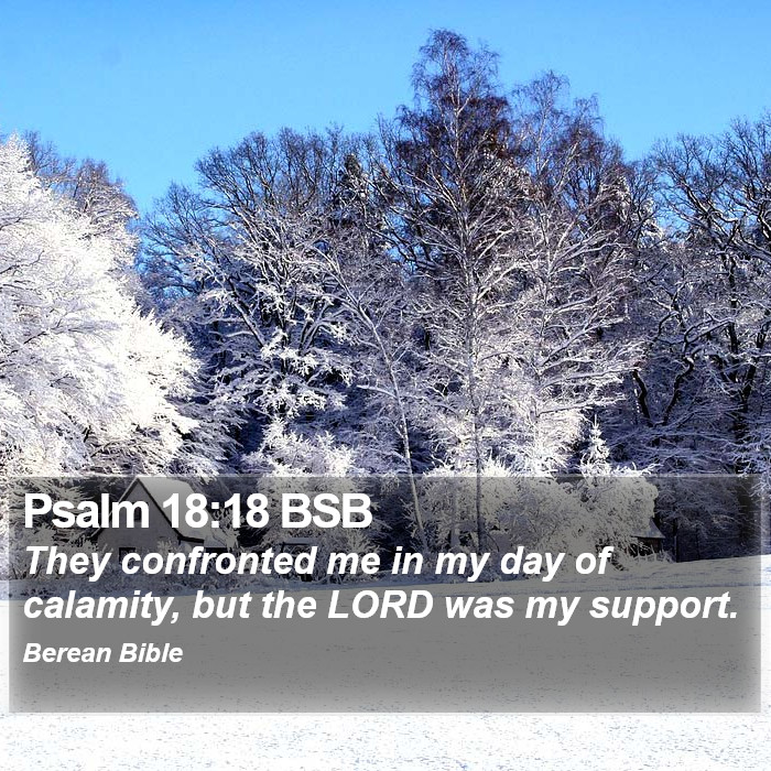 Psalms 18:18 BSB Bible Study