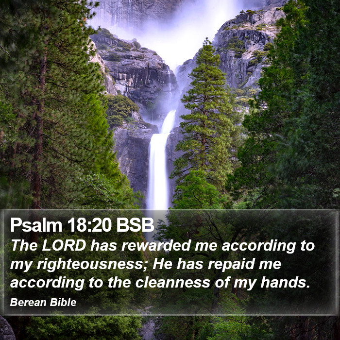 Psalms 18:20 BSB Bible Study