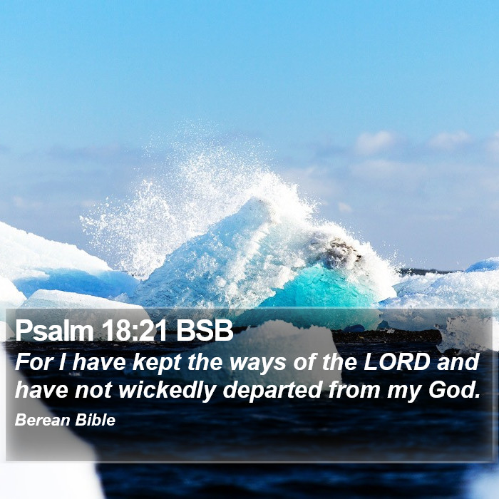 Psalms 18:21 BSB Bible Study