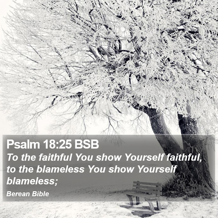 Psalms 18:25 BSB Bible Study