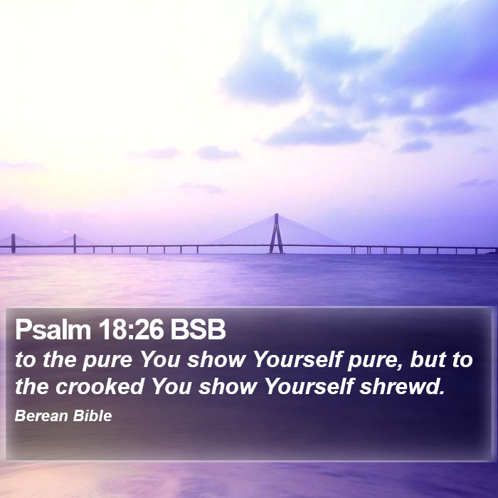 Psalms 18:26 BSB Bible Study