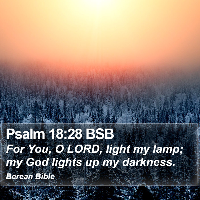 Psalms 18:28 BSB Bible Study