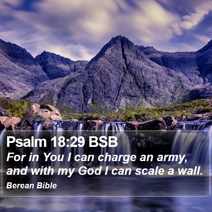 Psalms 18:29 BSB Bible Study