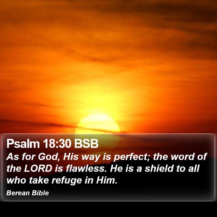 Psalms 18:30 BSB Bible Study