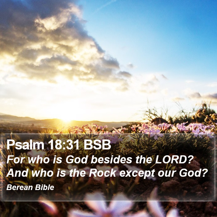 Psalms 18:31 BSB Bible Study