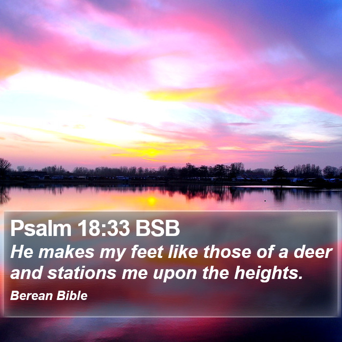 Psalms 18:33 BSB Bible Study